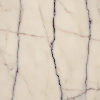 Calacatta Viola Calacatta Viola